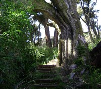 Galileo Trail